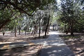 澎湖林投公園